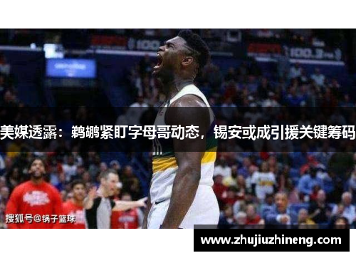 美媒透露：鹈鹕紧盯字母哥动态，锡安或成引援关键筹码